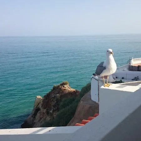 Lejlighed Aurora Costa Azul Albufeira